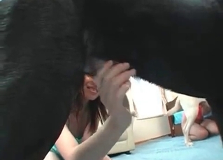 Japanese hooker gives her doggy an awesome deep blowjob