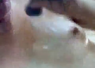 Awesome oral sex with a big horse