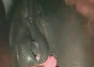 Horse ass looks amazingly sweet