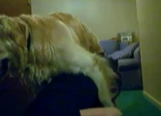 Tight sweet pussy for a sexy doggy