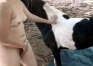 Horse gets sucked in the sexiest way