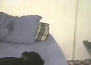 Girl enjoys only huge animal dicks