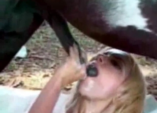 Big tit bitch bangs with hot animals