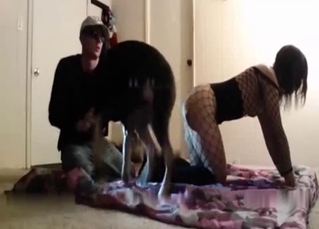 Brunette in fishnet nailed by trained dog