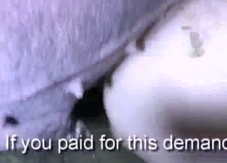 Nasty anal bestiality ar farm with pig