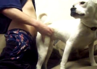 White doggy is enjoying doggy style banging