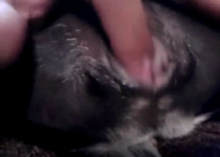 Shoving my hard finger in doggy tight anus