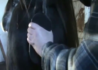 Fucking my lovely horse with a big sex toy