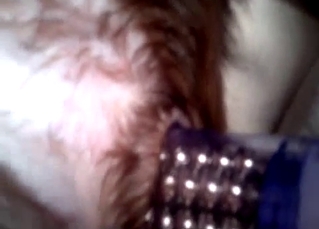 Stimulating doggy anus with a nice dildo