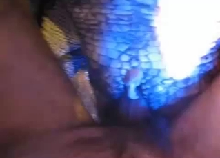 Screwing my lovely reptile in POV angle