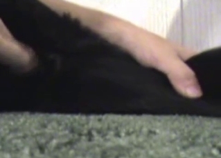 Doggy tight anus looks very fuckable