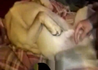 The hottest bestiality sex compilation in HD