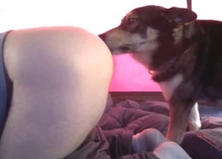 Oral sex for a whore by a really horny doggie