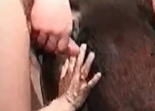 Amateur bestiality for an innocent looking stallion