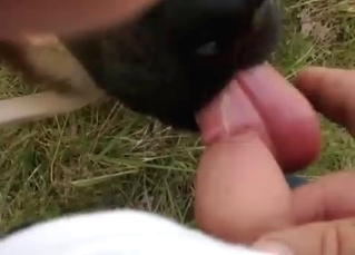 Jerking his tiny boner (zoo sex with a twist)
