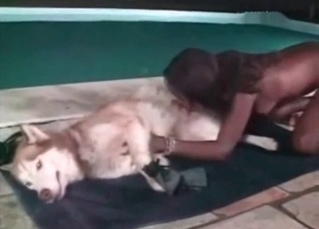 Pooch gets blown poolside, enjoy