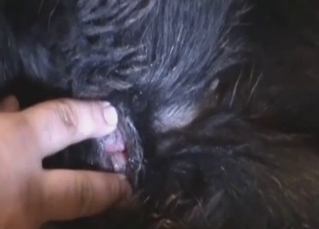 Sexy black asshole fucked by finger