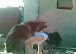 Dark-haired slut takes it from behind