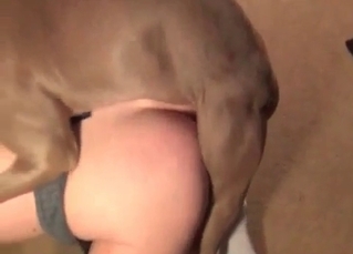 Small snatch fucked hard by an animal