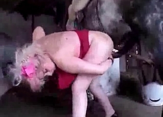 Black stallion and a passionate female