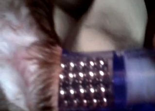 Stunning animalistic toying with a good animal