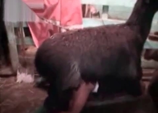 Kinky sex-fest in the barn