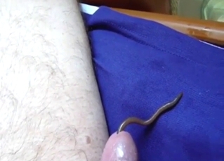 Wormy cock pleasure with that sexy sound