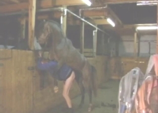 XXX gape scene with a guy who moans with horse