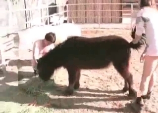 Zoophile and his dog enjoy nasty bestiality sex