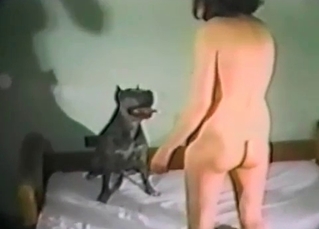 Playful hound likes filthy bestiality sex