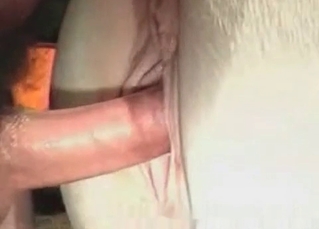 Old barn is a nice place for bestiality sex