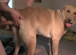 Anal sex with my passionate doggy
