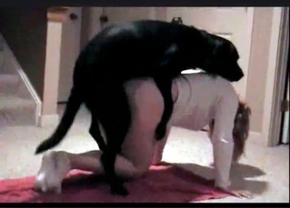 Awesome zoophilic porn work out