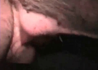 Close up zoophilia XXX with my animal