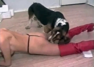 Sexy cutie likes filthy bestiality sex with a dog