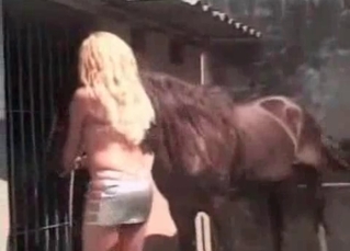 Stallion dick and hot bitch enjoy bestiality