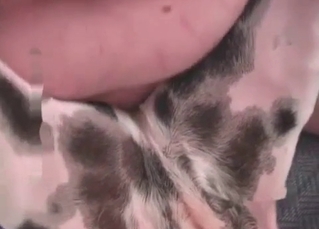 Dog bestiality XXX was never so sexy