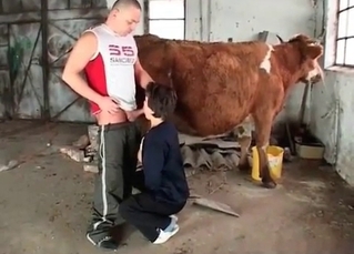 Couple in the awesome farm bestiality XXX