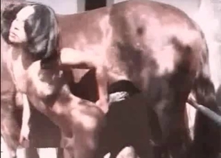 Stripper and horse in amazing farm zoophilia XXX