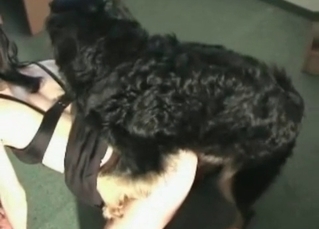 Sexy lady likes filthy bestiality so much