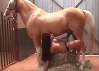 Brutal horse cums a very big cum load