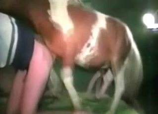 Tight pussy and sexy pony enjoy bestiality