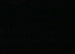 Night bestiality was never so sweet