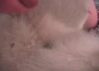 Awesome young dog likes dirty bestial fuck