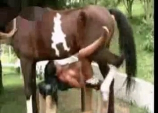 Horses and ladies in farm porn compilation