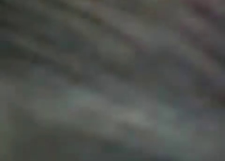 My doggy really likes filthy bestiality porn