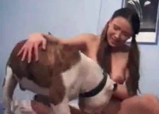 Lady and her dog in the filthy bestiality game