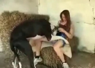 Big dog in the homemade bestiality porn