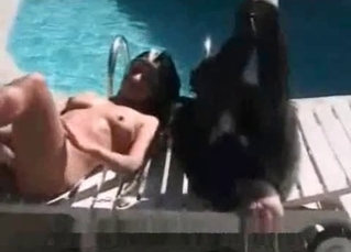 Cute bitch and monkey in amateur bestiality