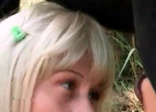 Horse cums a load in her wide opened mouth